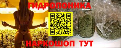 прущие крисы Можга