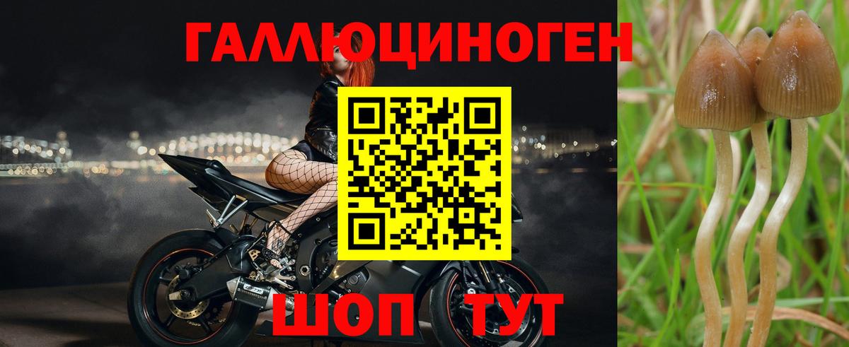 Гашиш Вятские Поляны